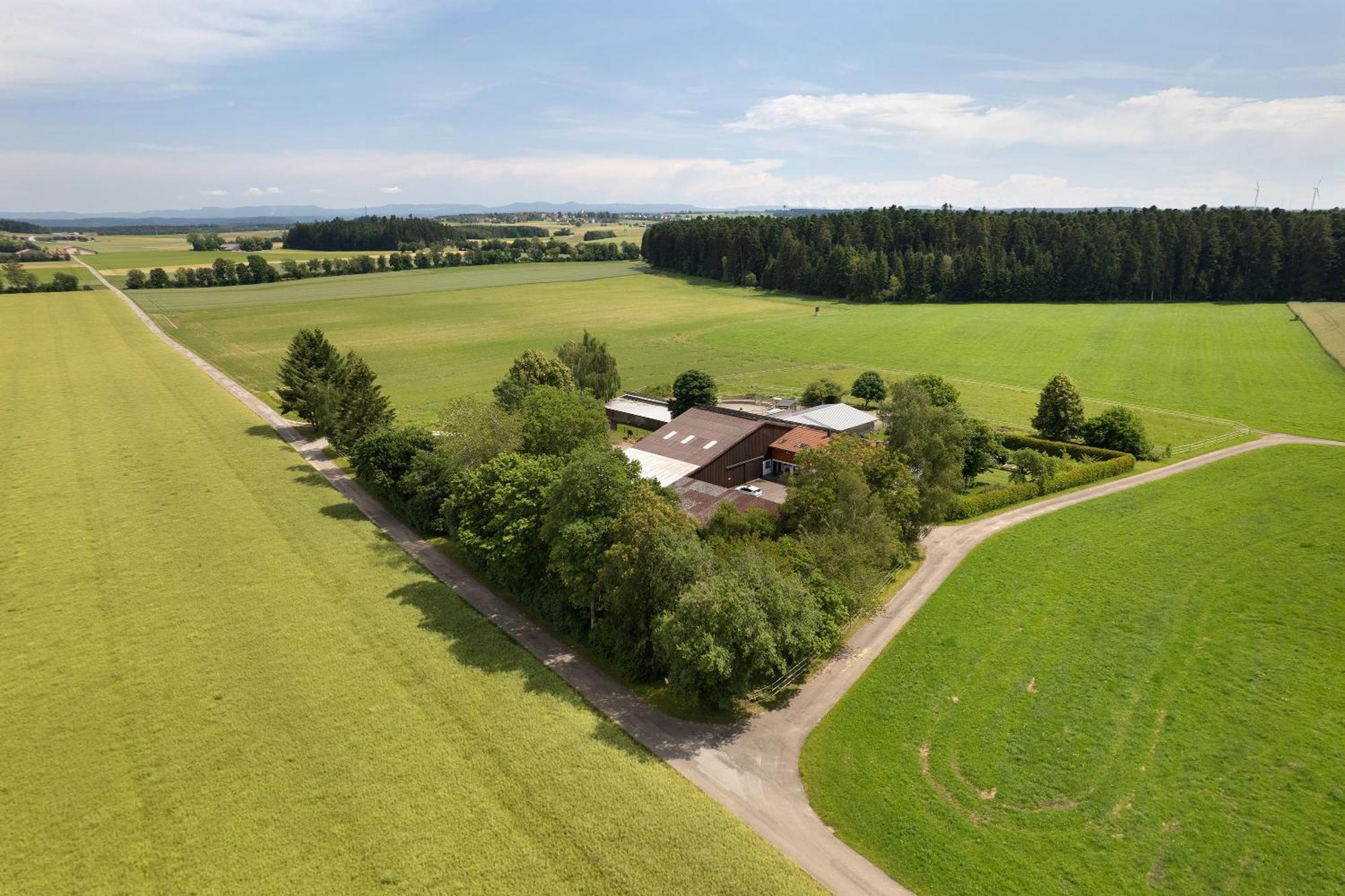 Fewo Naturliebe - Keine Monteure Dornhan Eksteriør bilde